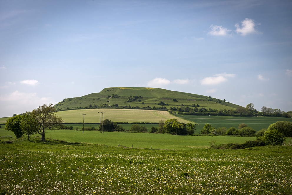 Cley Hill viewed from the East.