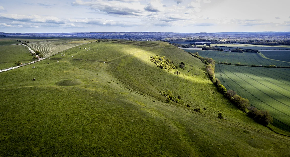 Aerial view showing the causewayed enclosure, barrows and IA earthworks (Courtesy of Felix Speller) 