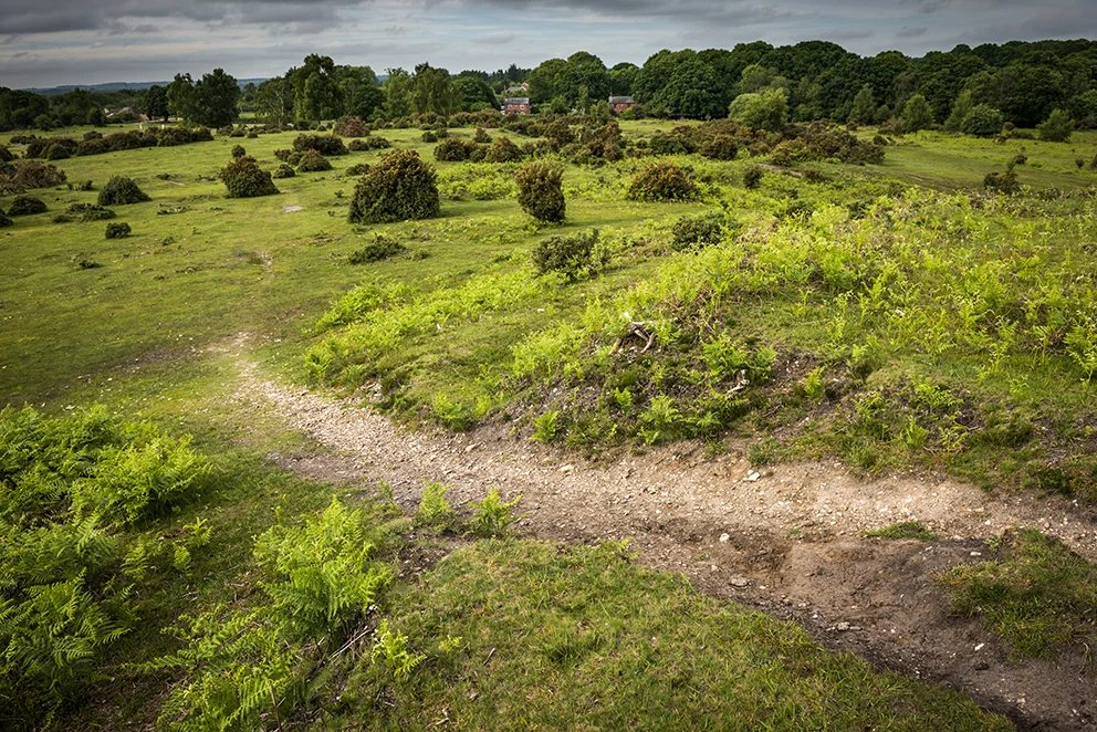A view over Furzley Common from the top