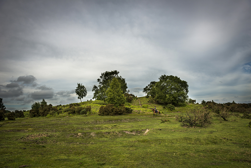 Nearby Stagsbury Hill and numerous field systems, earthworks and the local pony club