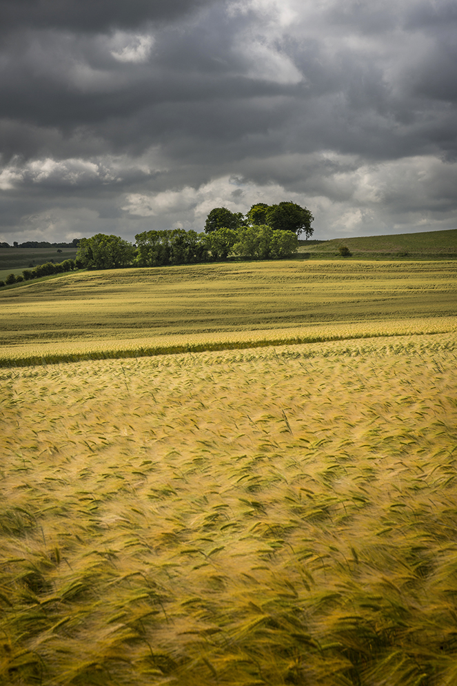 East Kennet Long Barrow viewed from just South of the village of East Kennet