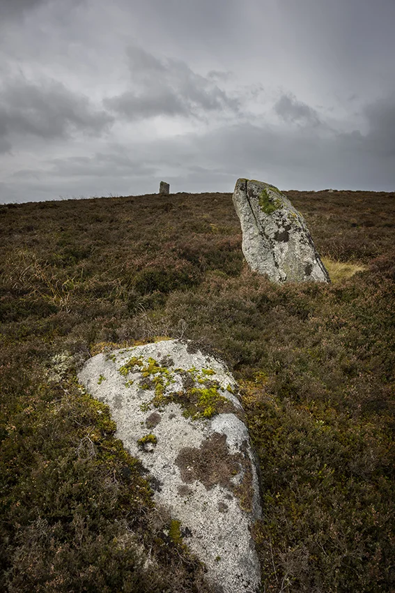 One of the many recumbent stones on the hillside