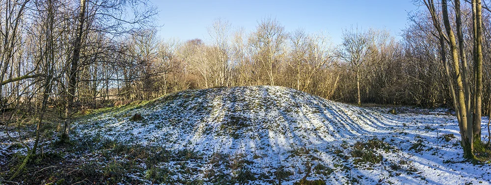 Barkhale Wood BA Barrow