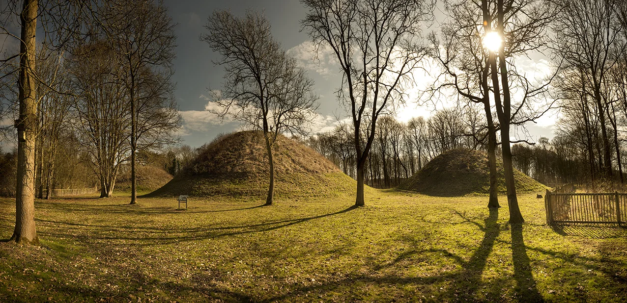 Three of the larger conical barrows which give the site it's local name 'The Three Hills'.