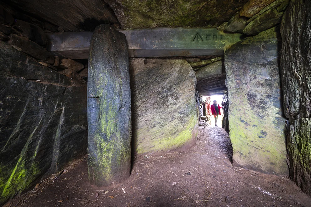 the 'mysterious' pillar, possibly a section of fossilised tree trunk