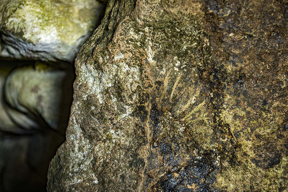 Another ammonite impression (just right of centre) in one of the burial chambers