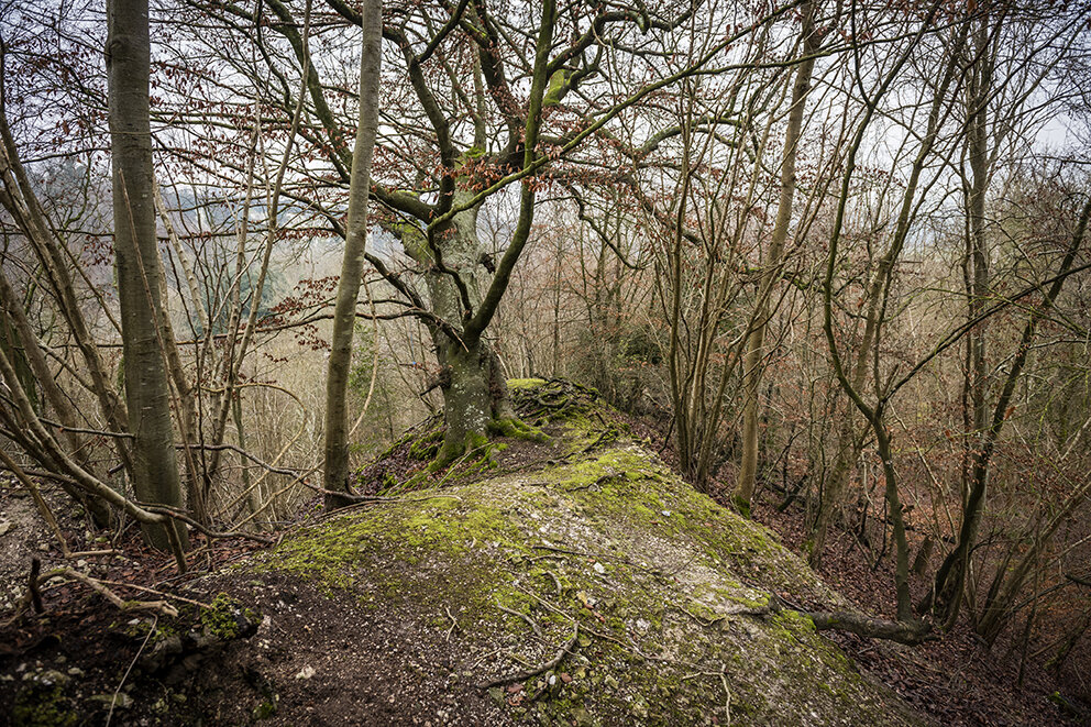 The slightly truncated Eastern end of the dyke due to quarrying on the under cliff of the river Arun