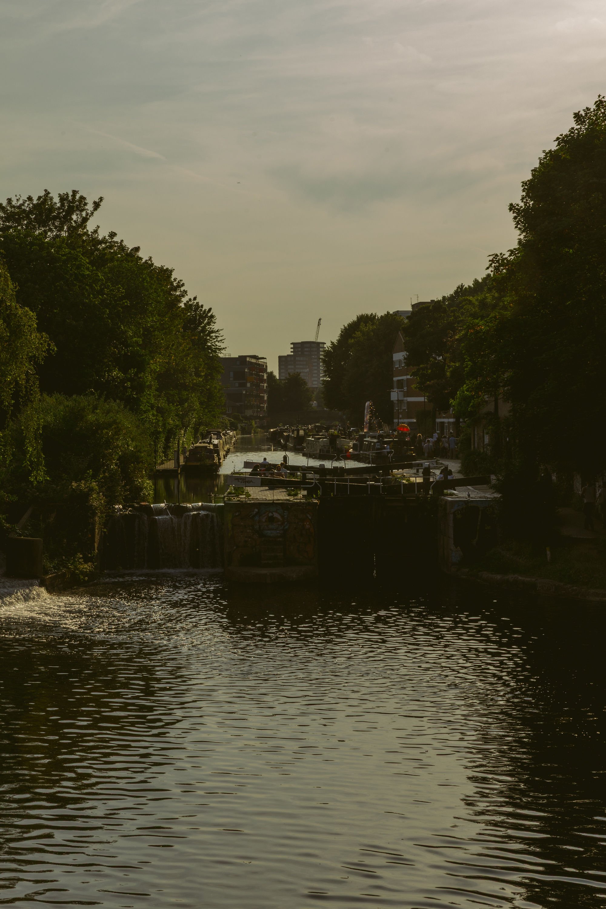 VIC_6418.jpg