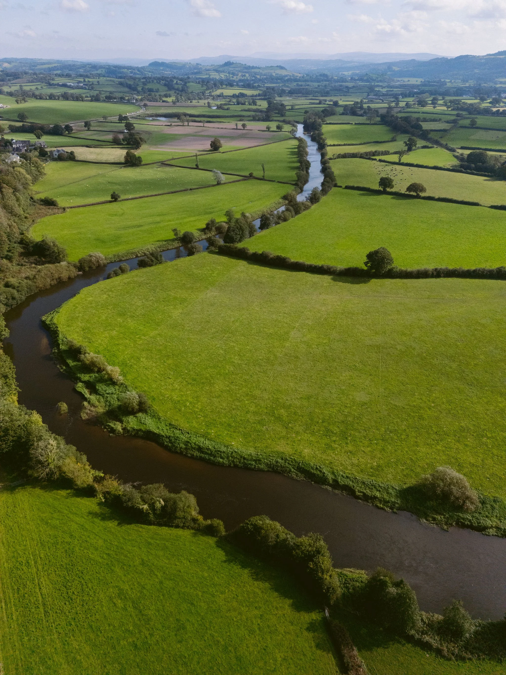 DJI_0035.jpg