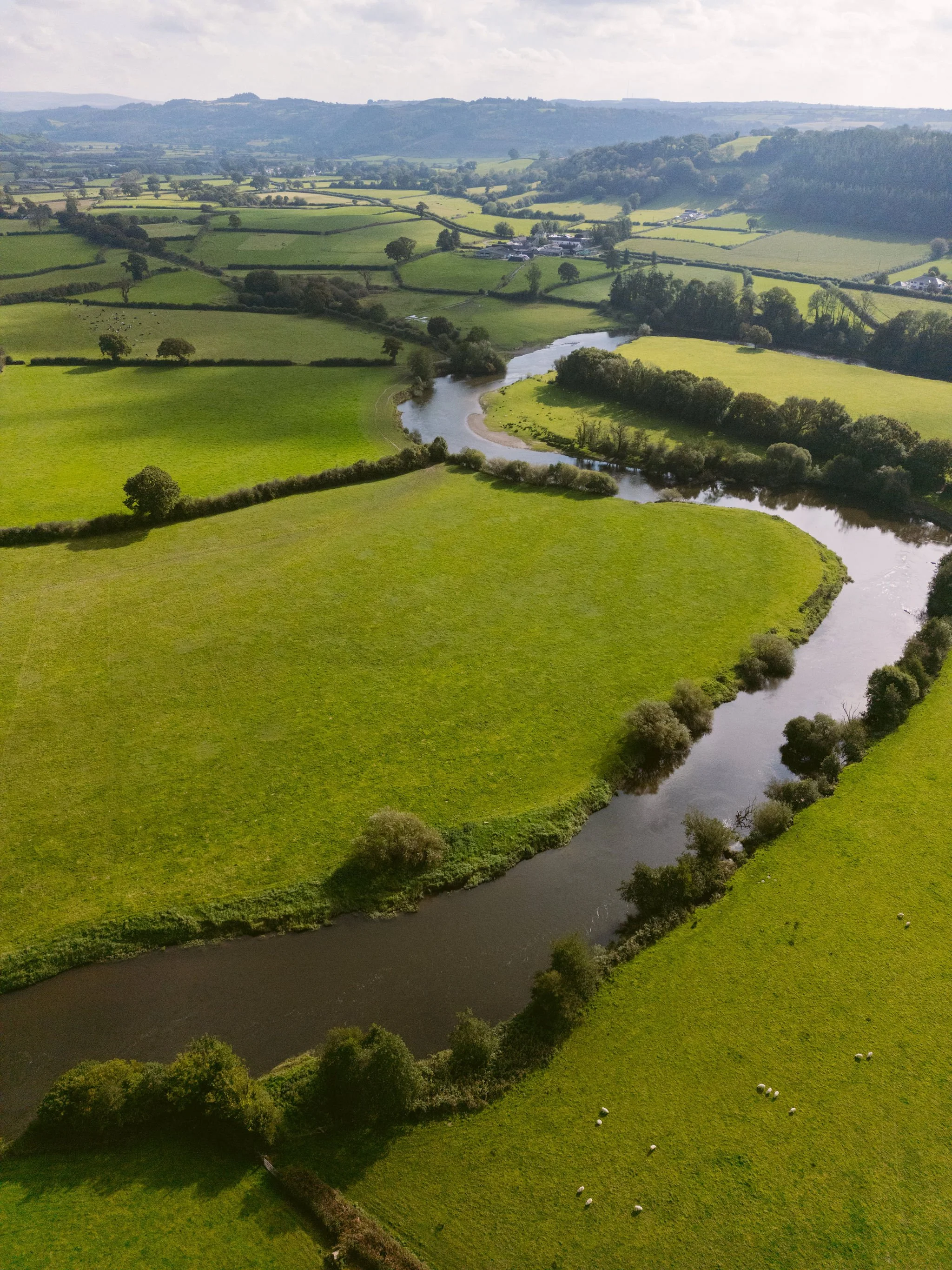 DJI_0036.jpg