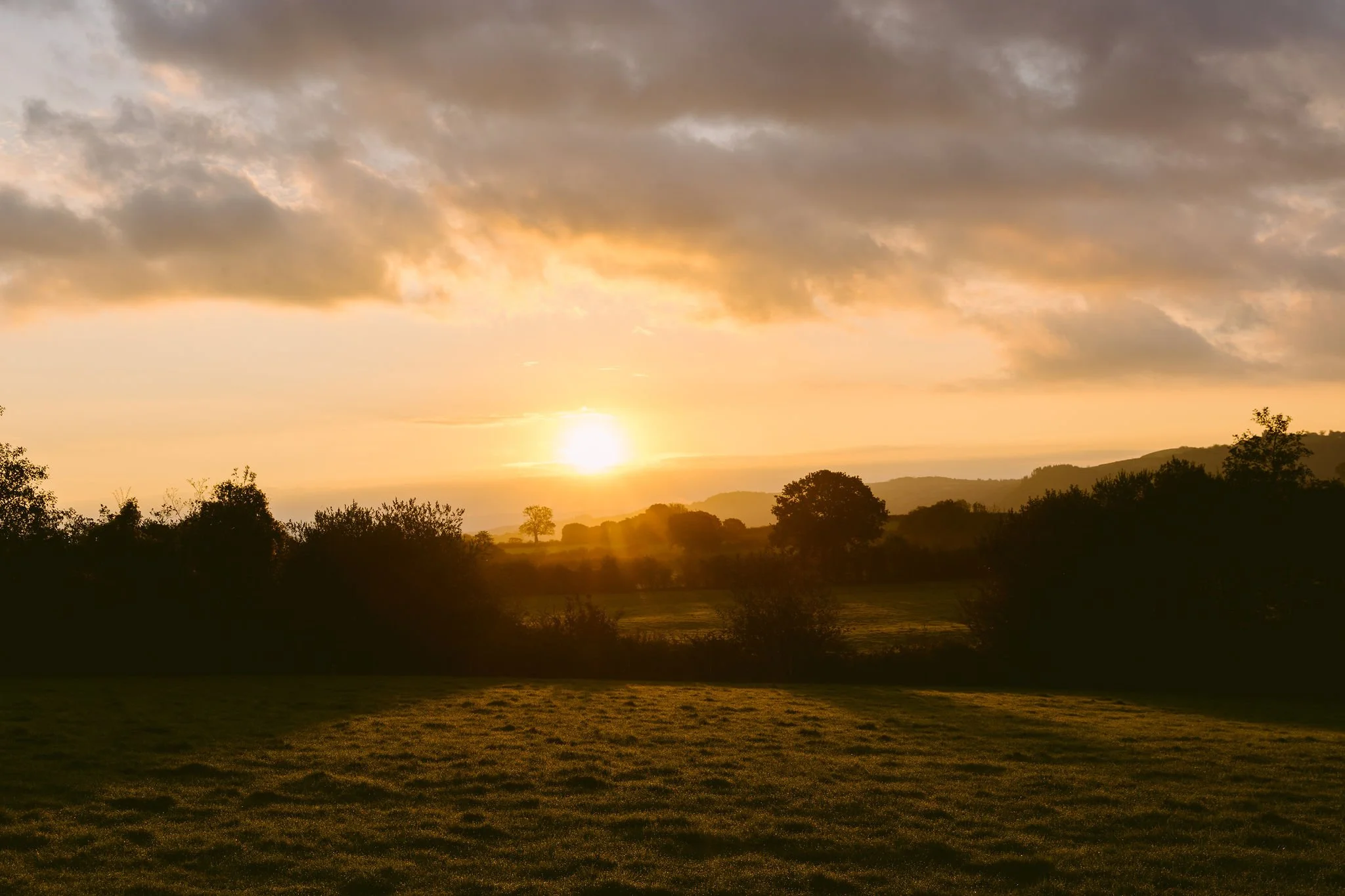 VIC_0854.jpg