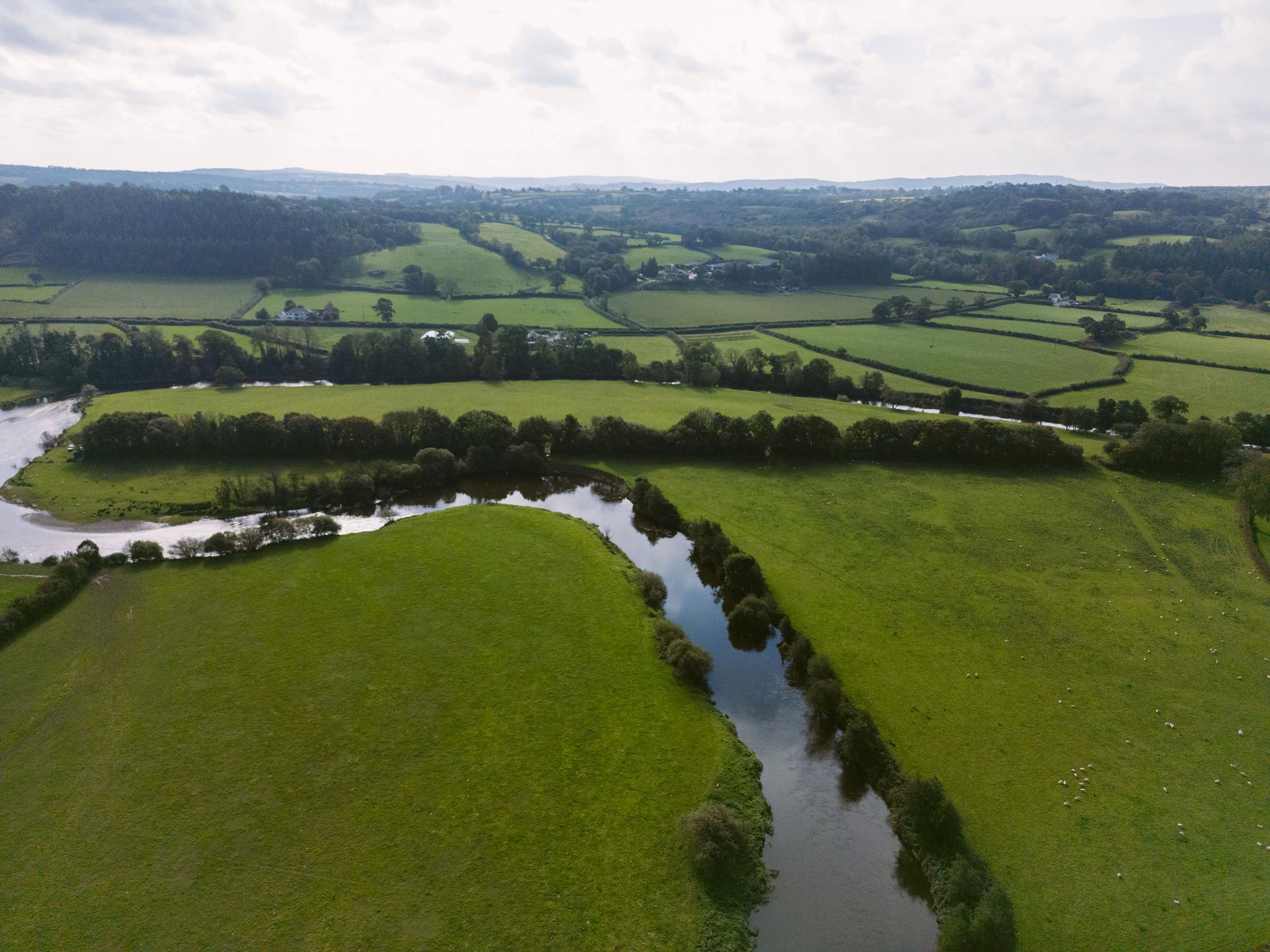 DJI_0028.jpg