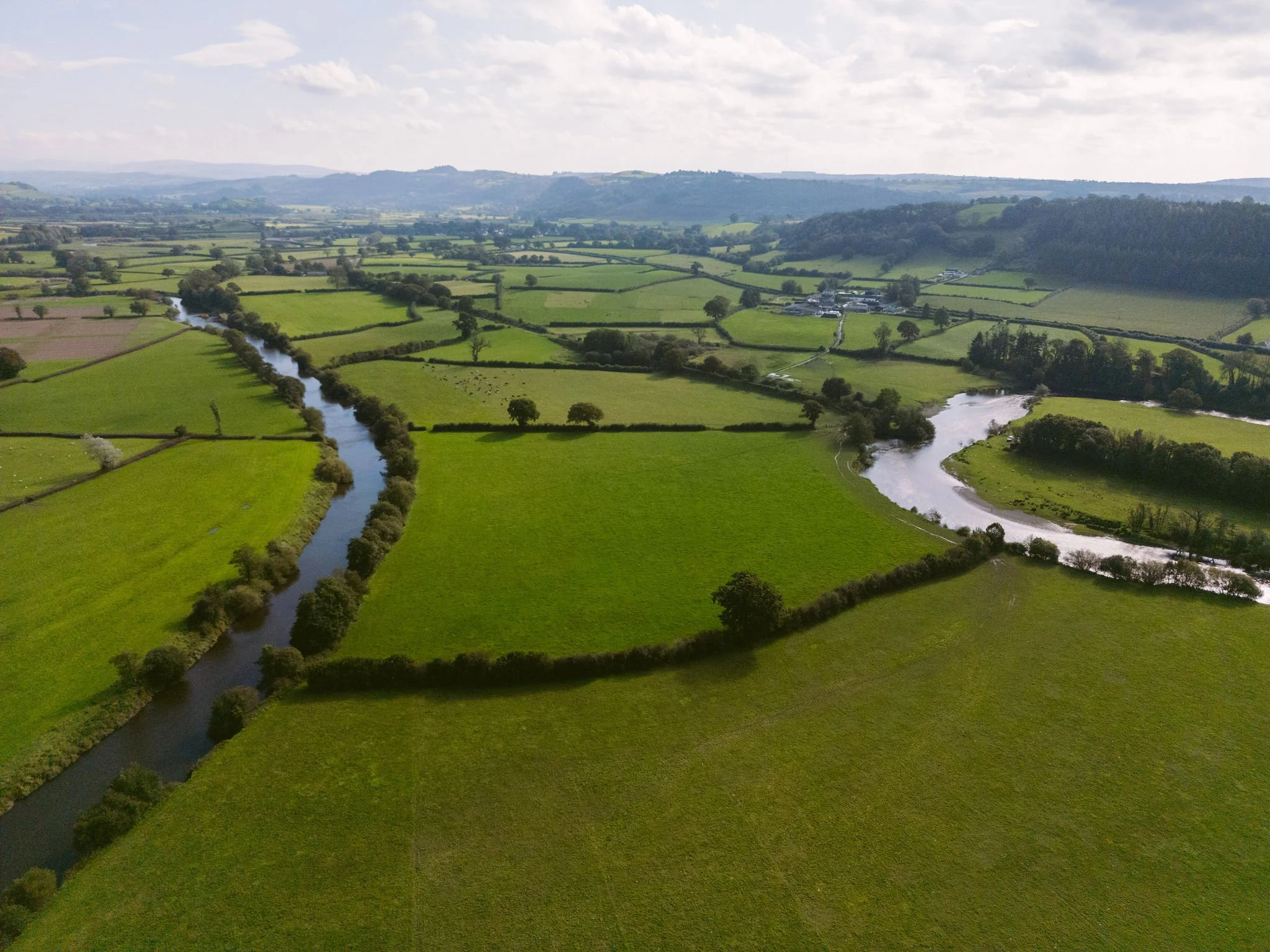 DJI_0029.jpg