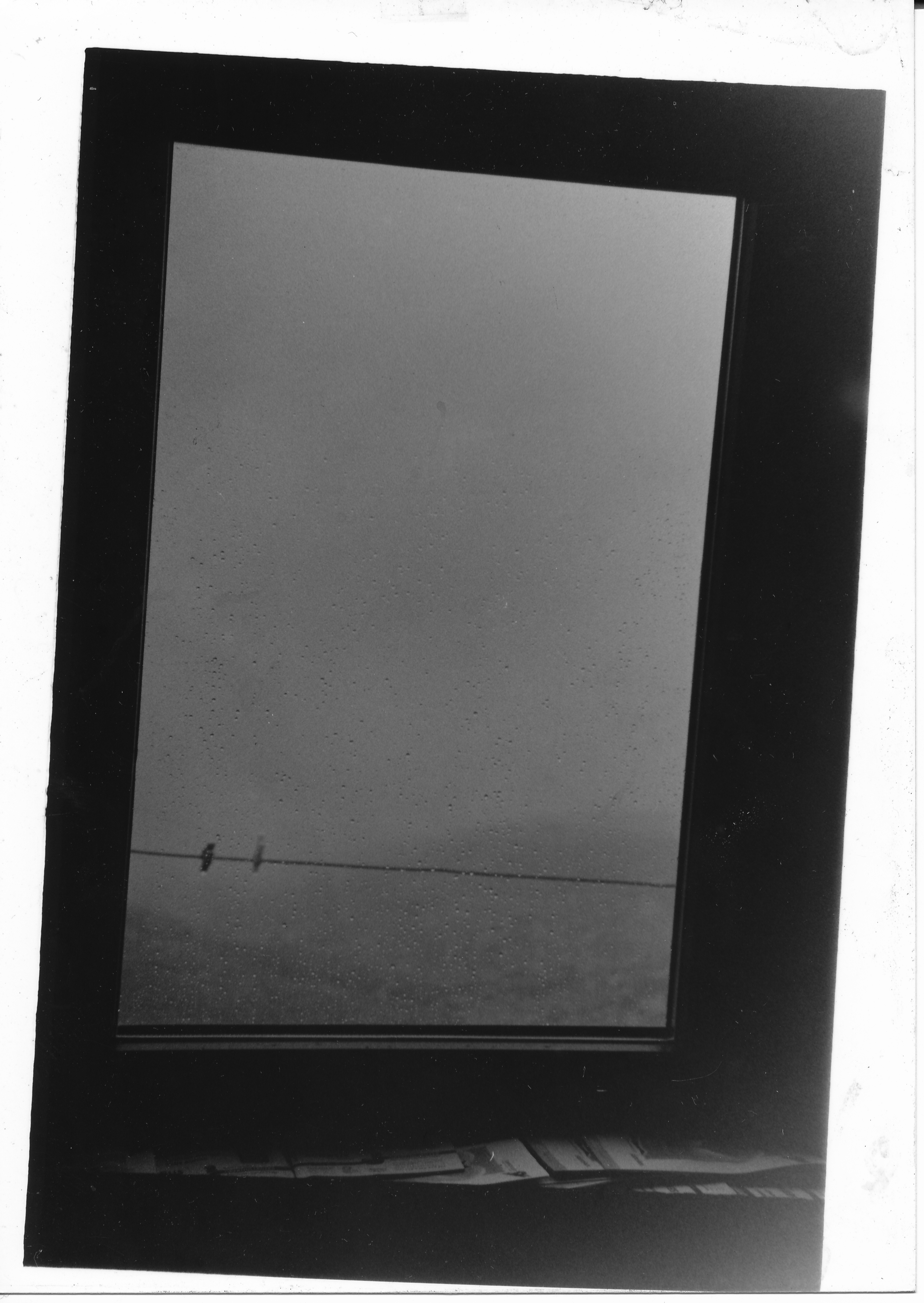 fenster.png