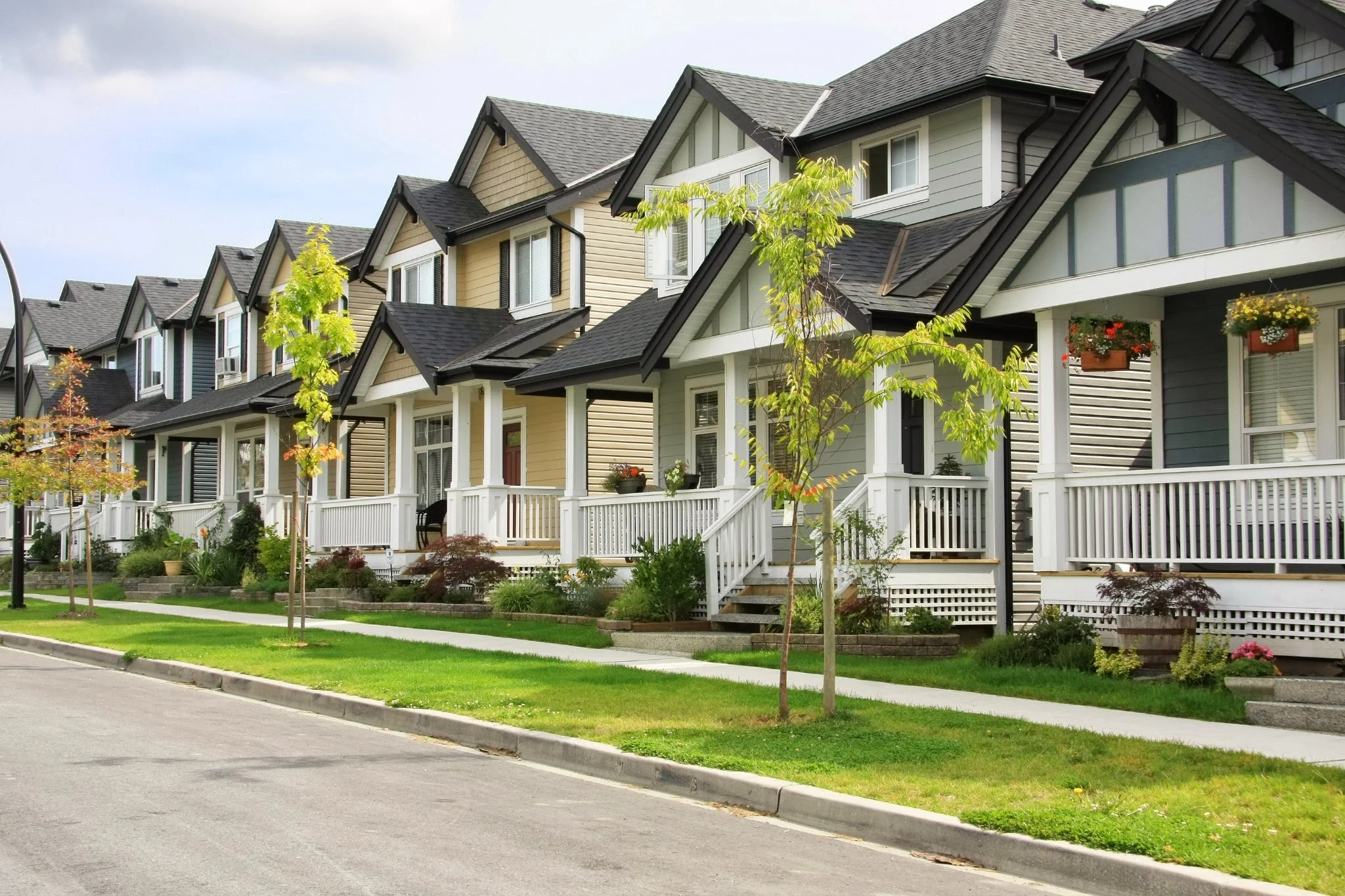 neighborhood_iq_backdrop.jpg