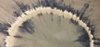 Rio Wrenn1.jpg