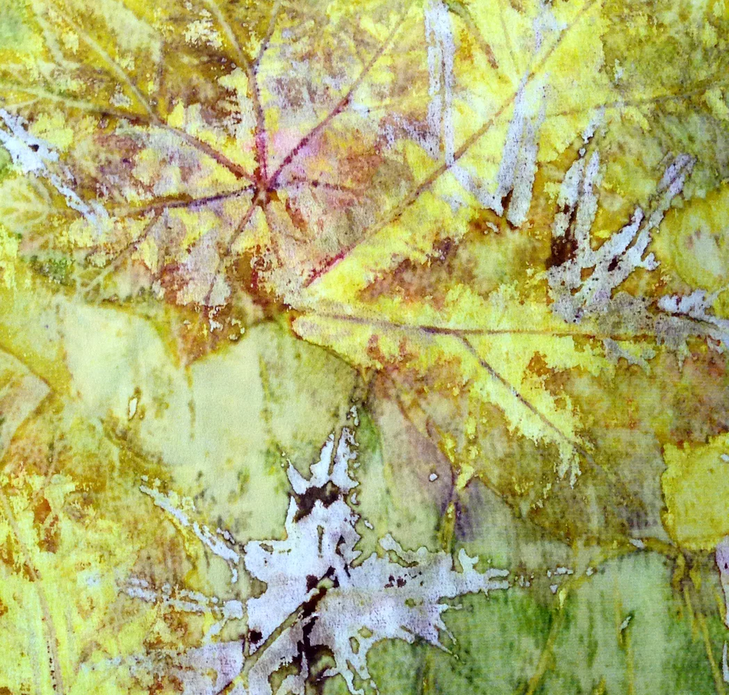 KerrNature7.jpg