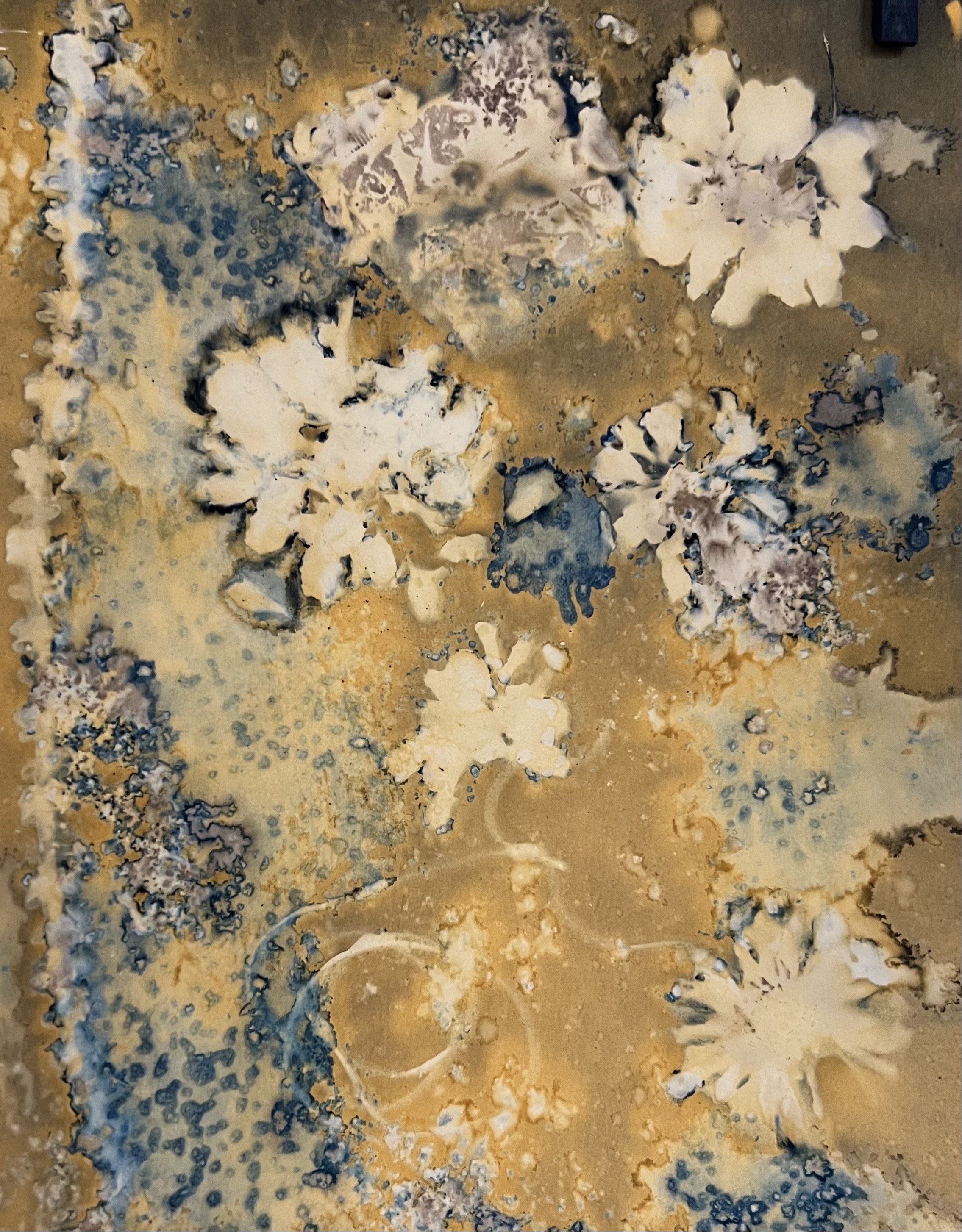 WET CYANOTYPE with Suzanne Mosley