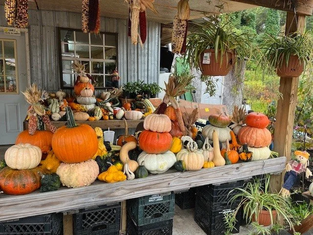 🍂 Making Plans for a Fall Retreat in the North Carolina Mountains&hellip; 🍂

I&rsquo;m beginning to plan a fall creative retreat in the North Carolina mountains and would love your input. The focus will be on eco-printing, printing on leather, indi