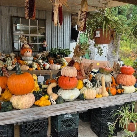 🍁 Blue in the Mountains Fall Retreat is Now Open for Registration 🍁

October 13&ndash;22, 2026
Cherokee County, North Carolina

Registration is officially open &mdash; and if you are even considering joining us, I encourage you to secure your place