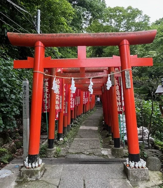 Multiple red torii gates lining a stone pathway at a Japanese shrine, surrounded by green foliage.