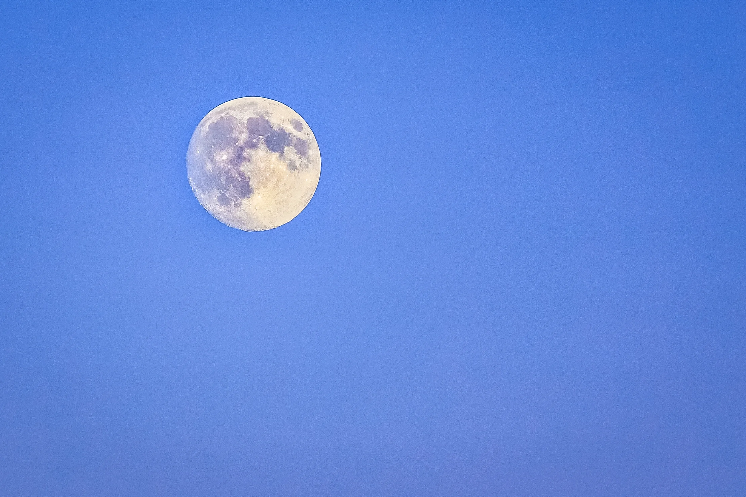 Harvest Moon