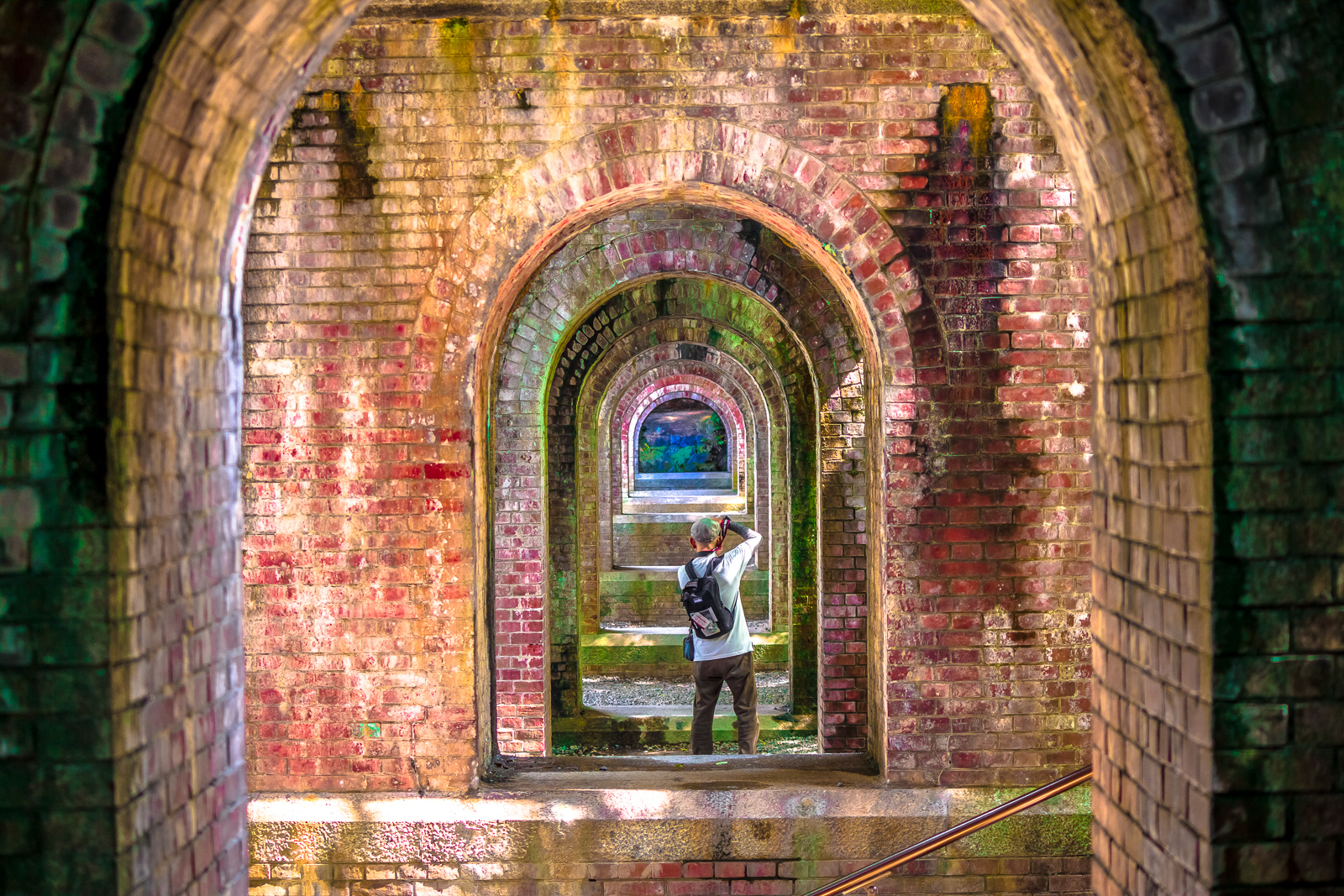 Under the Aqueduct 南禅寺