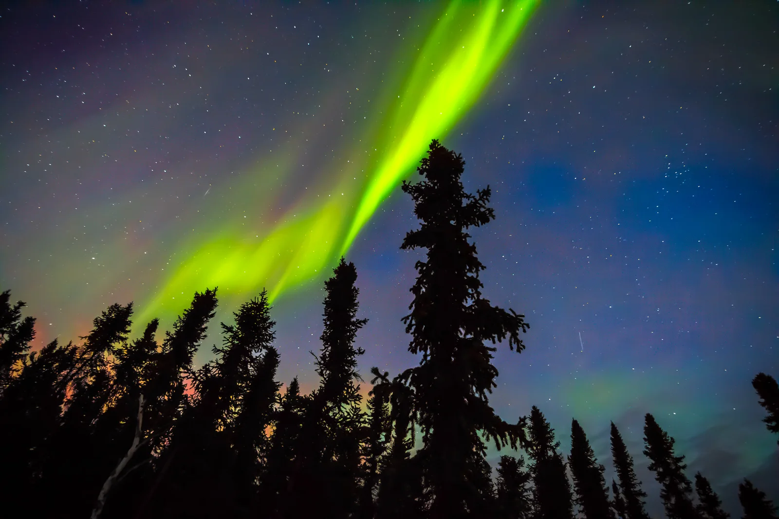 Northern Lights