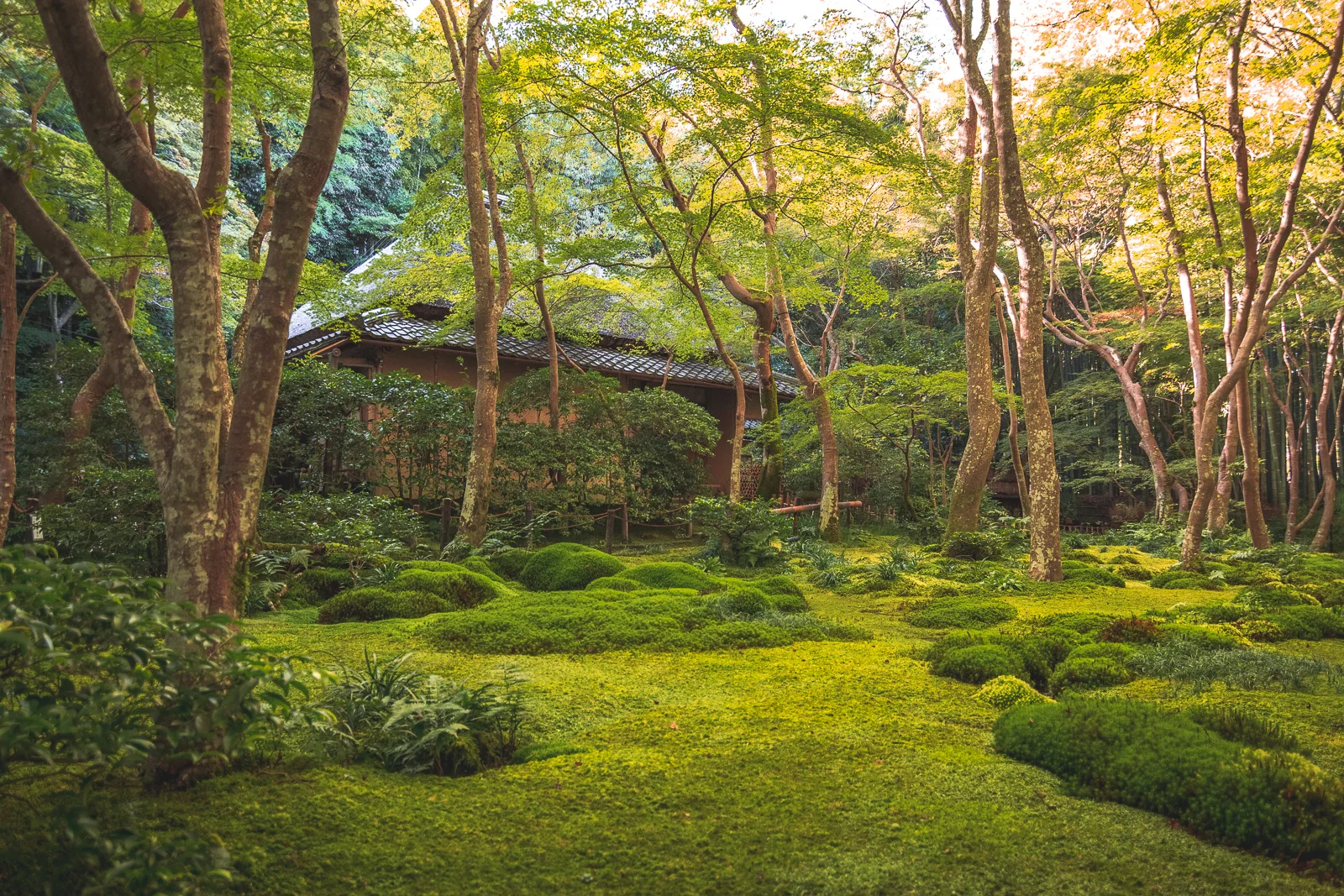 Gio-ji Temple 祇王寺