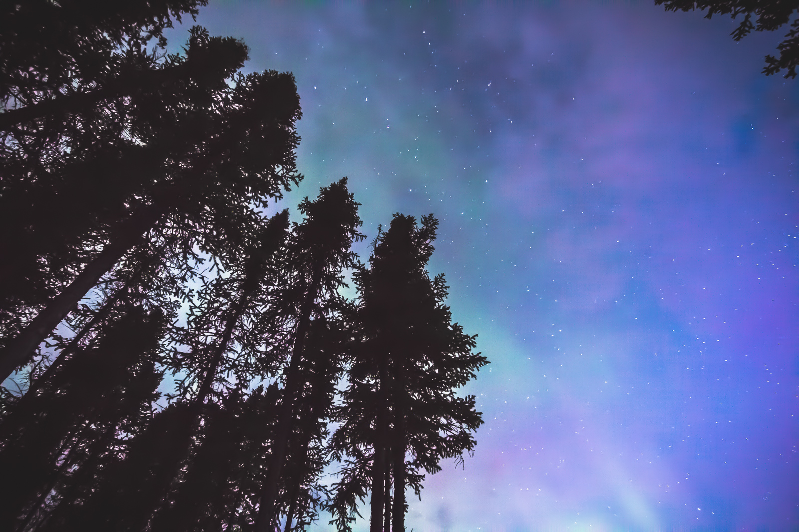 Cold Sky