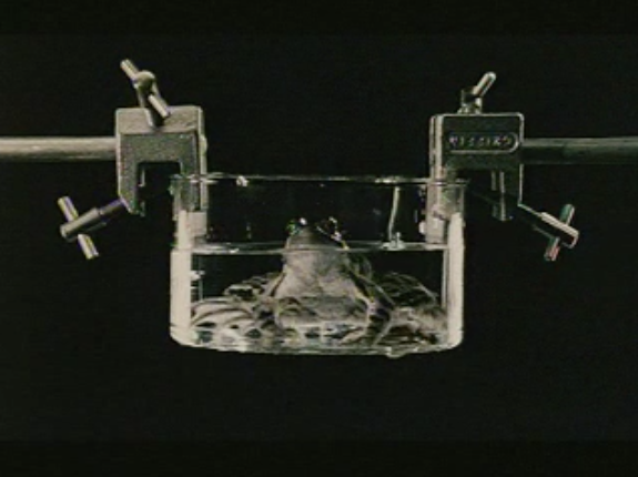 Screen Shot 2015-01-26 at 10.52.44.png