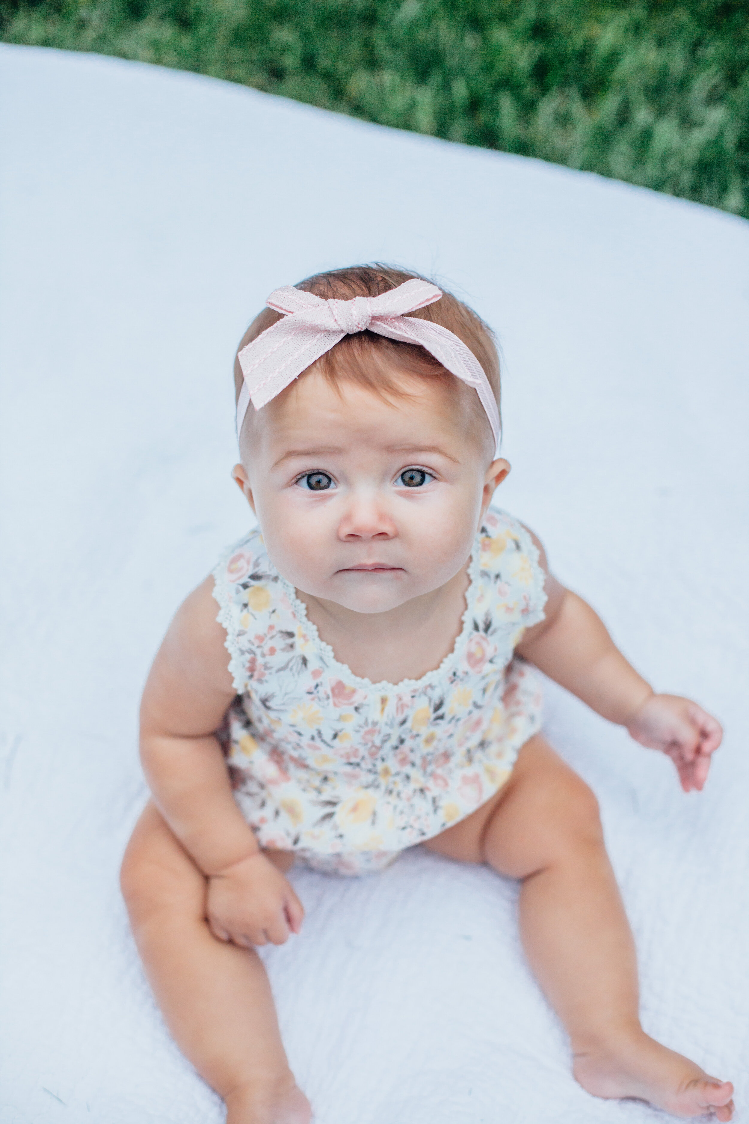 Briella 6 mo-1550.jpg