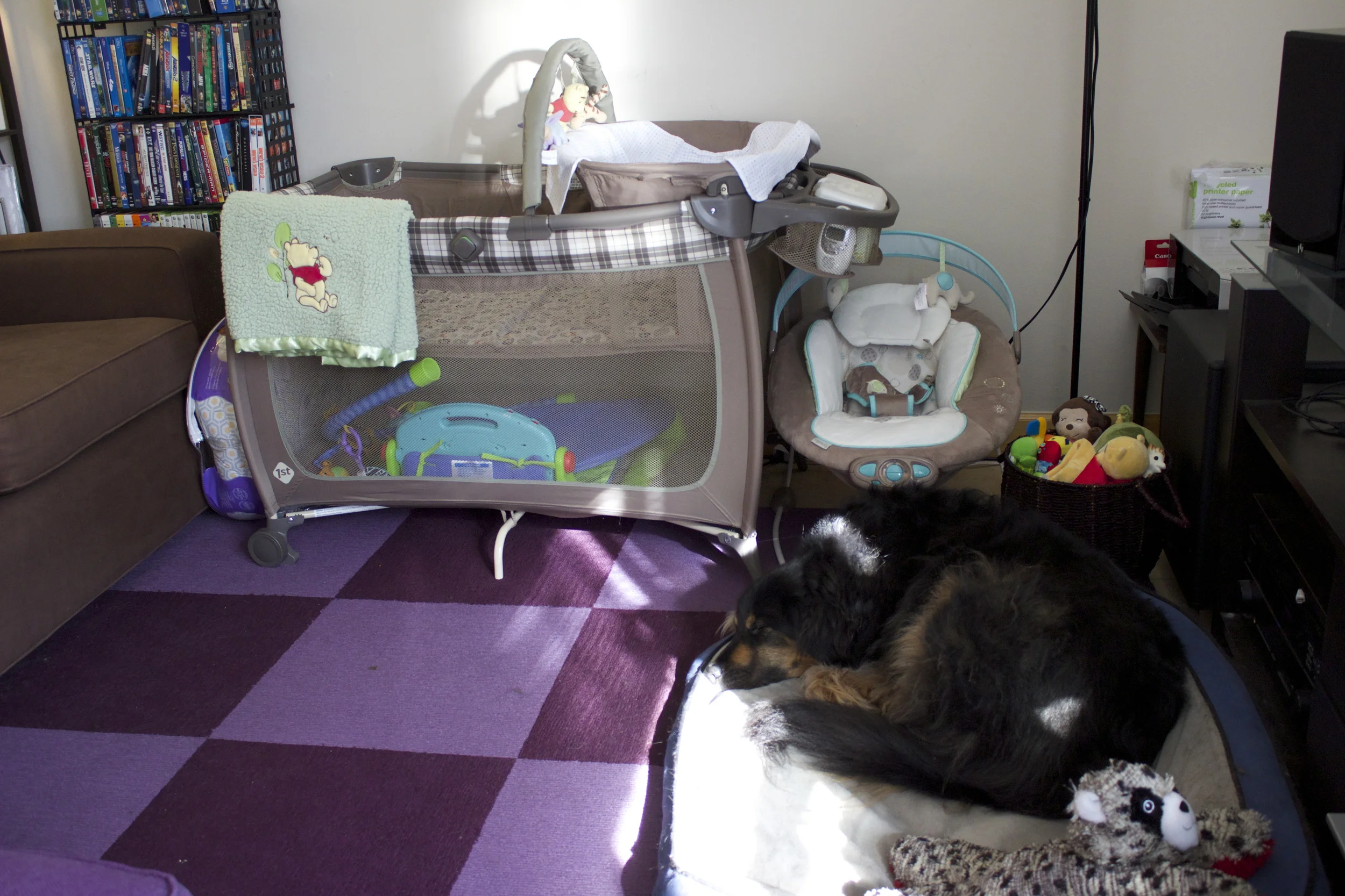  Rosie is already guarding Gabriel's possessions. 