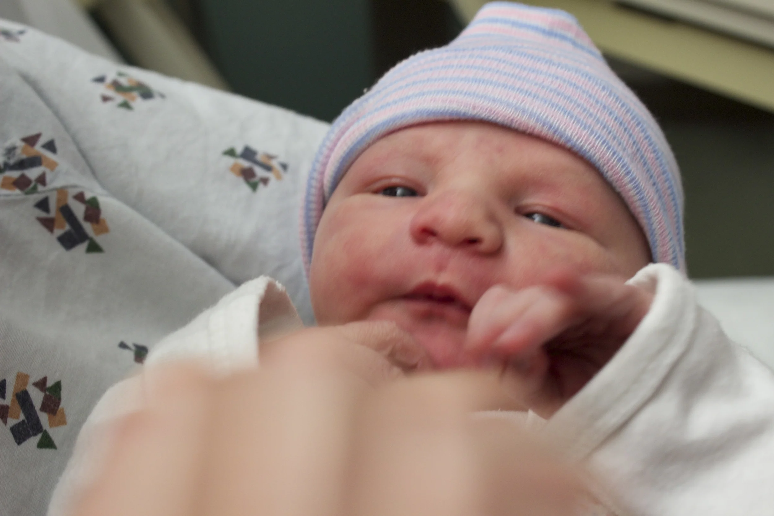 IMG_4742.jpg