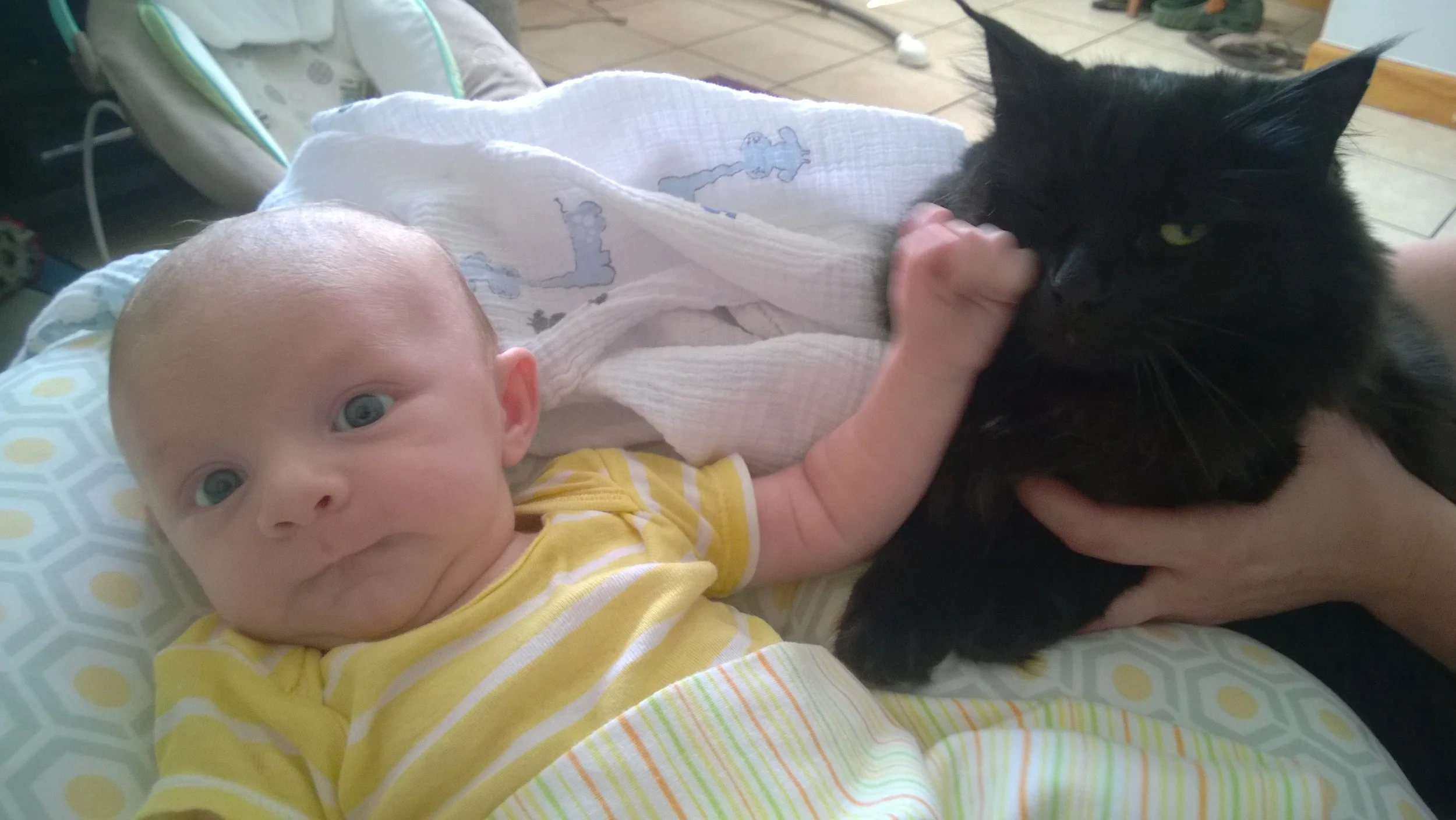 Windows Phone_20140810_005.jpg
