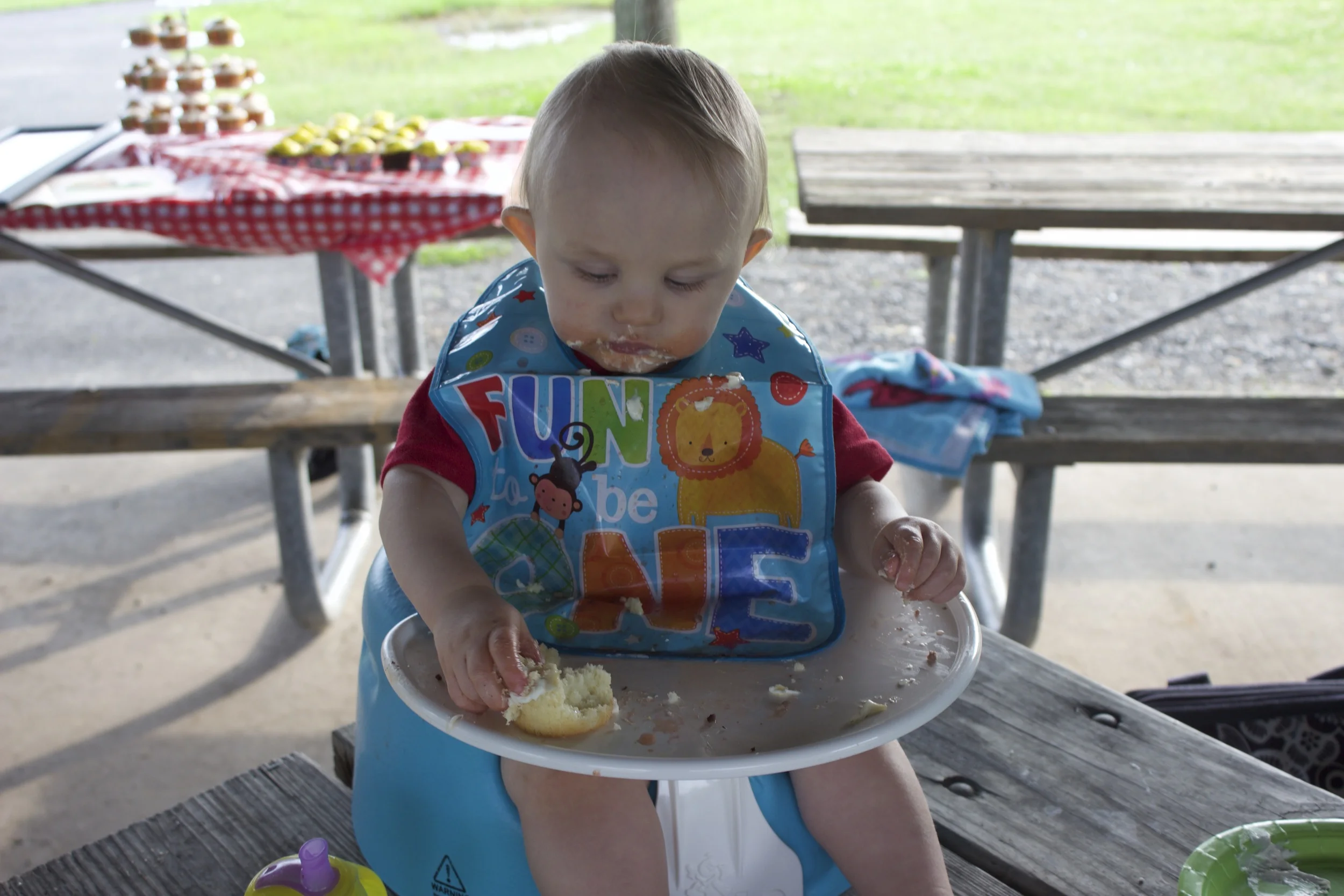 IMG_8676 copy.jpg