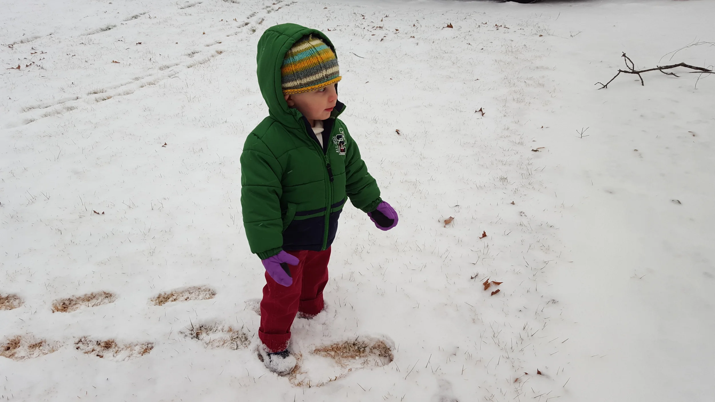 20160209_172425.jpg