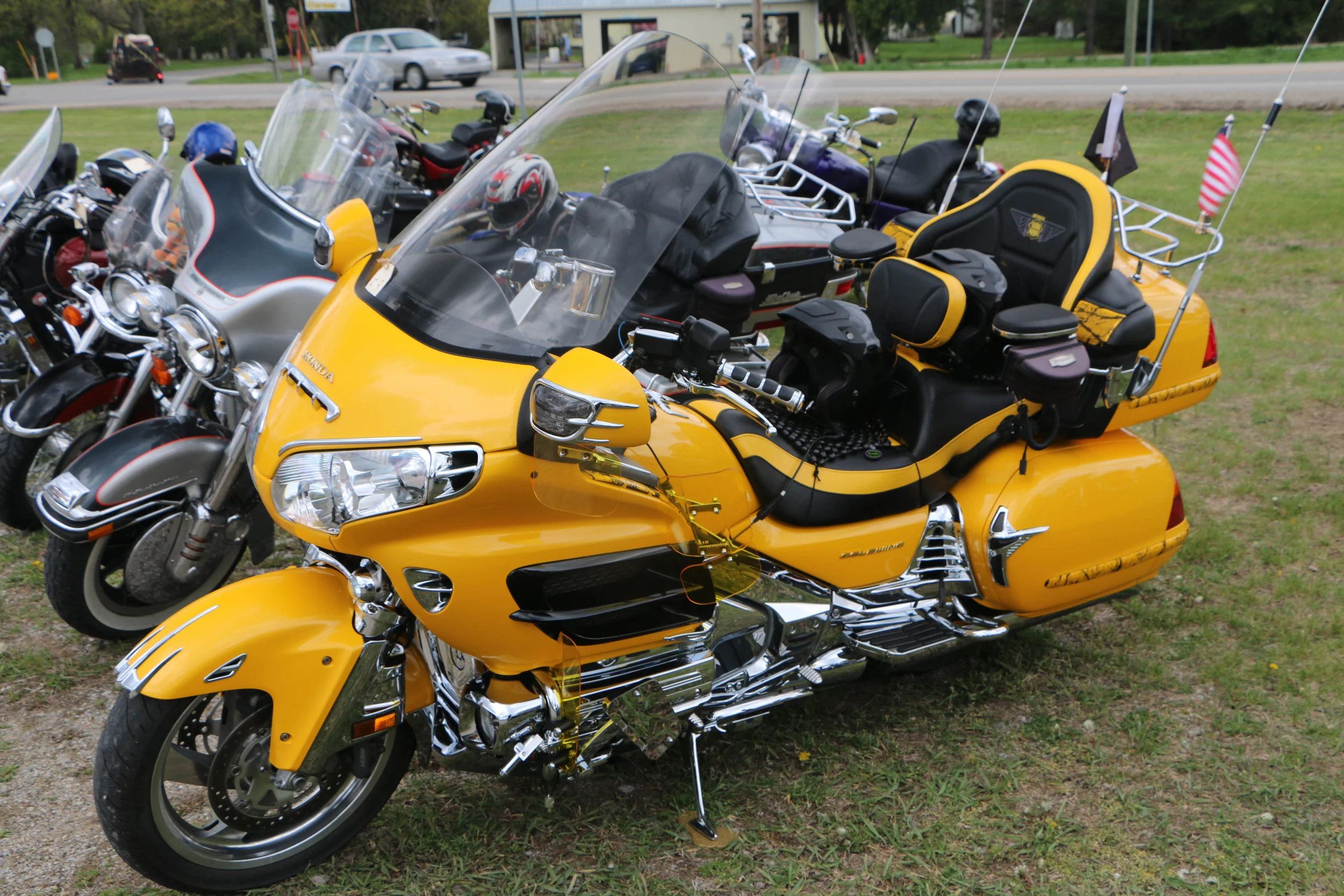 IMG_4369.jpg