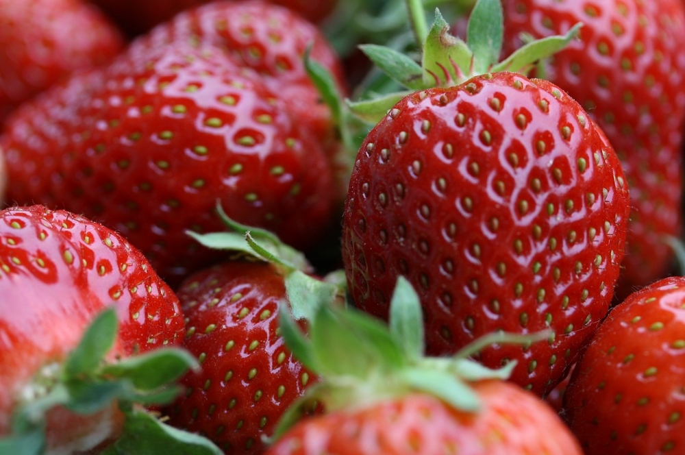 strawberries-776985_1280.jpg