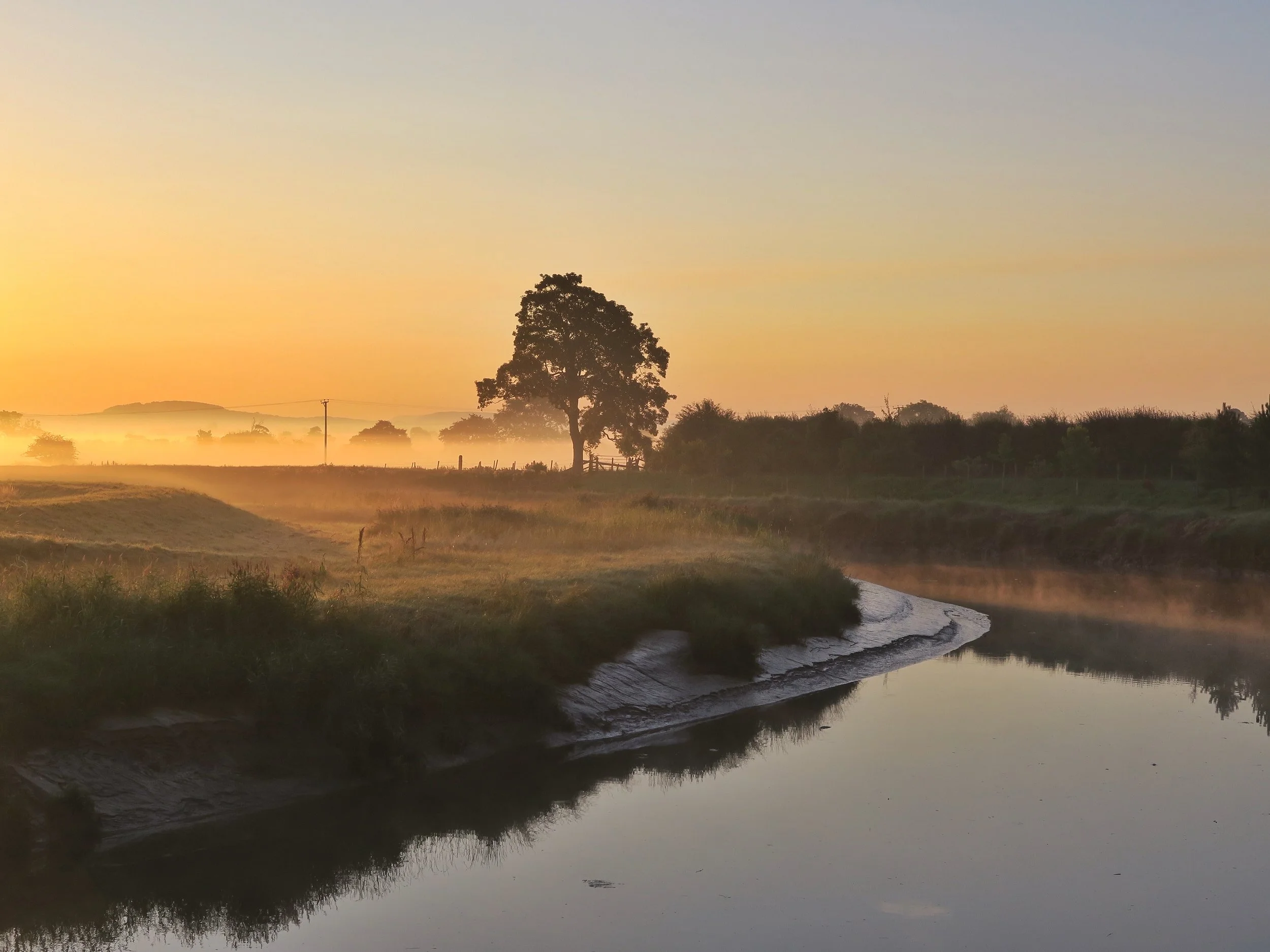 38307632_Unknown copy[1] copy.JPG