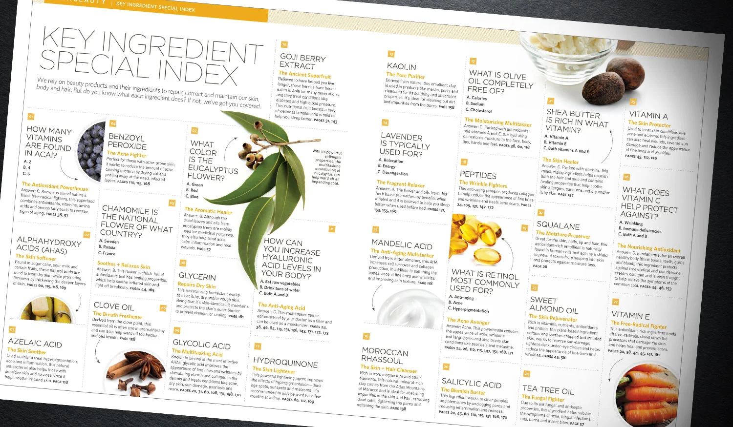  Editorial / Index + Directories 