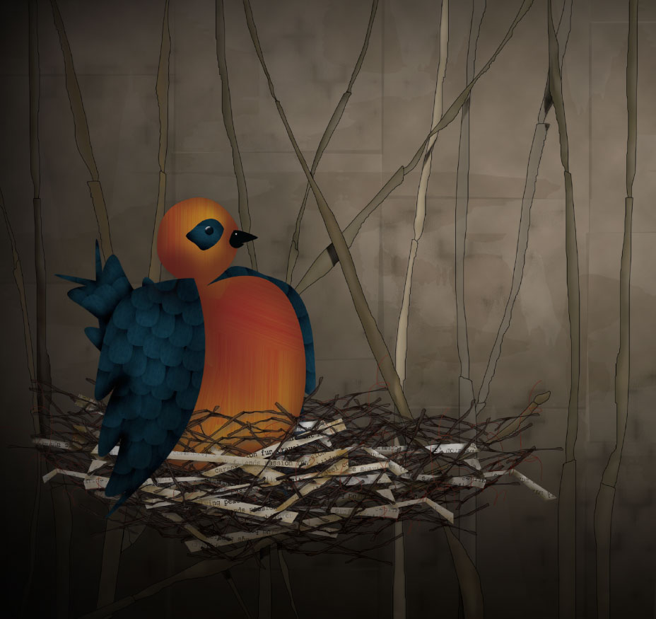  Digital Illustration    