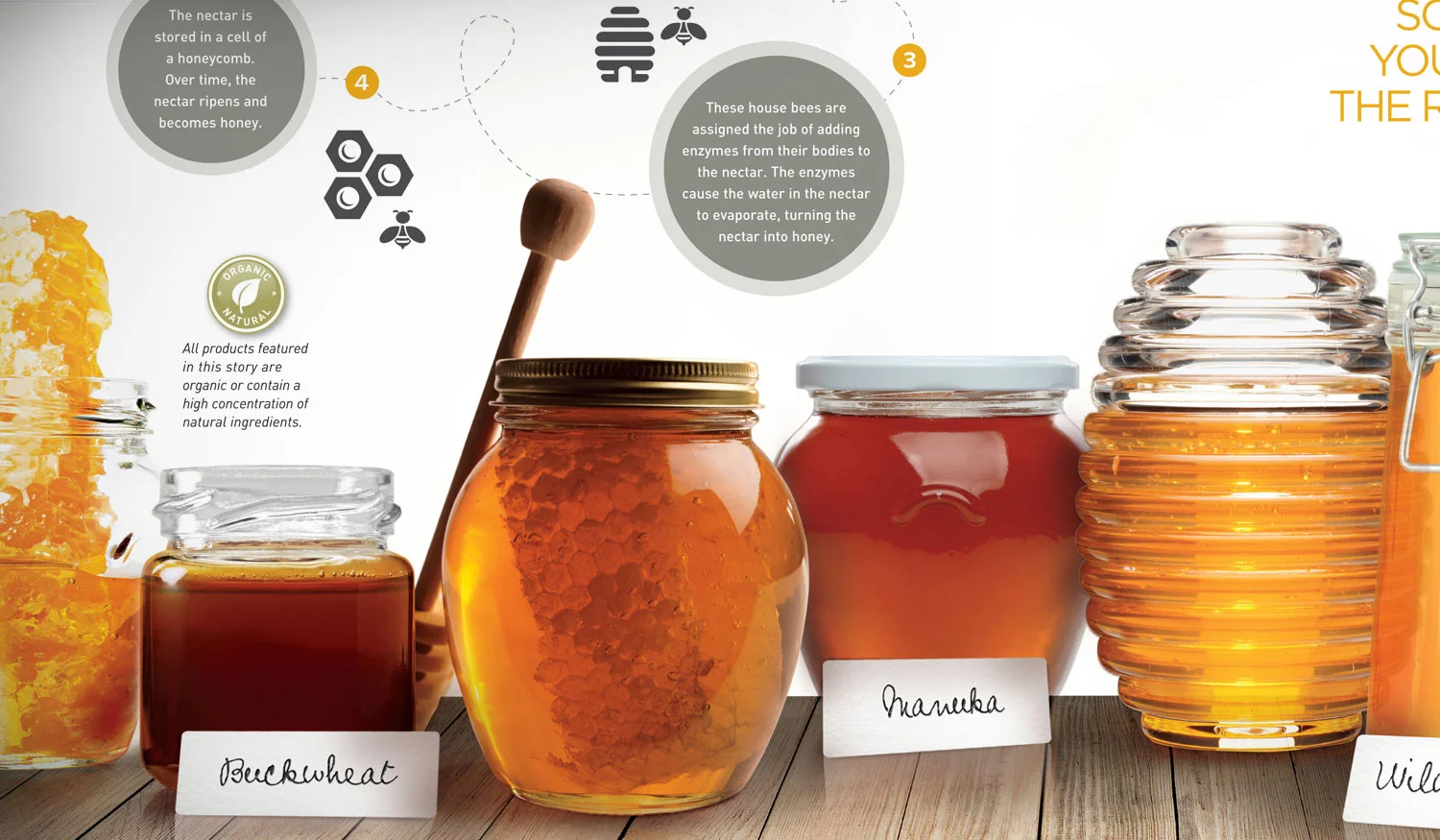 photoman_honey.jpg