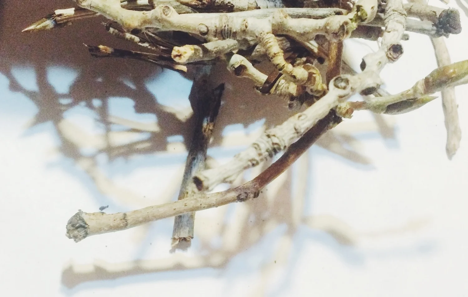 vscocam-photo-1.jpg