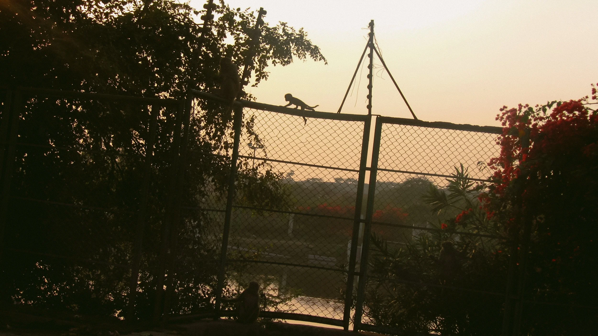 Canon Powershot_3995.jpg