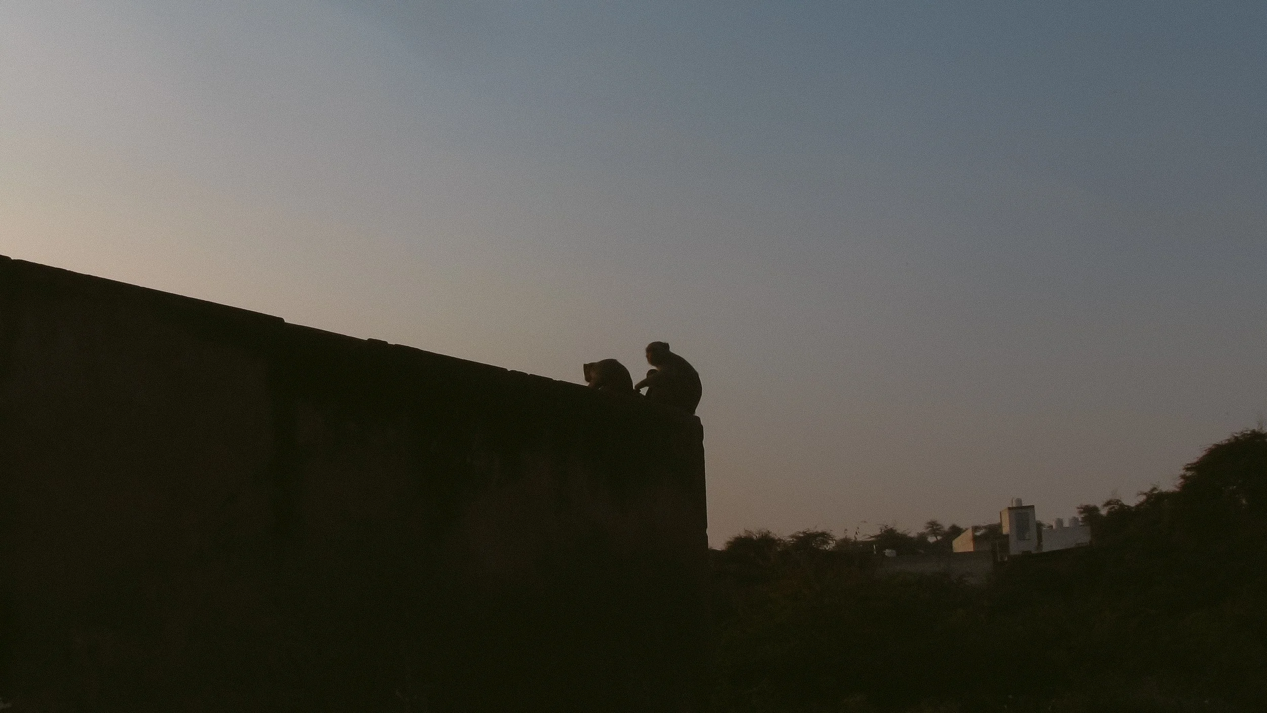 Canon Powershot_3997.jpg