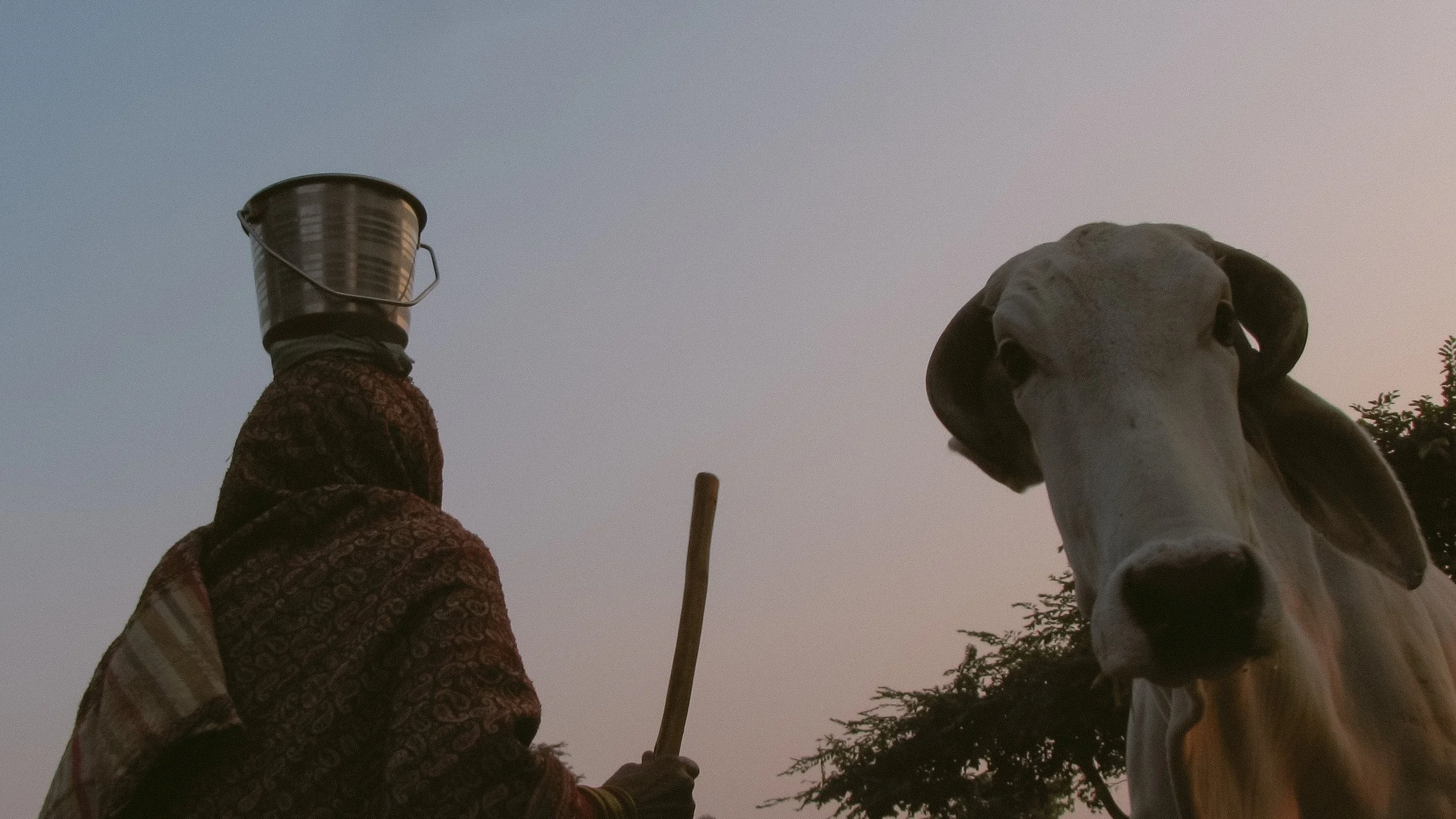 Canon Powershot_4028.jpg