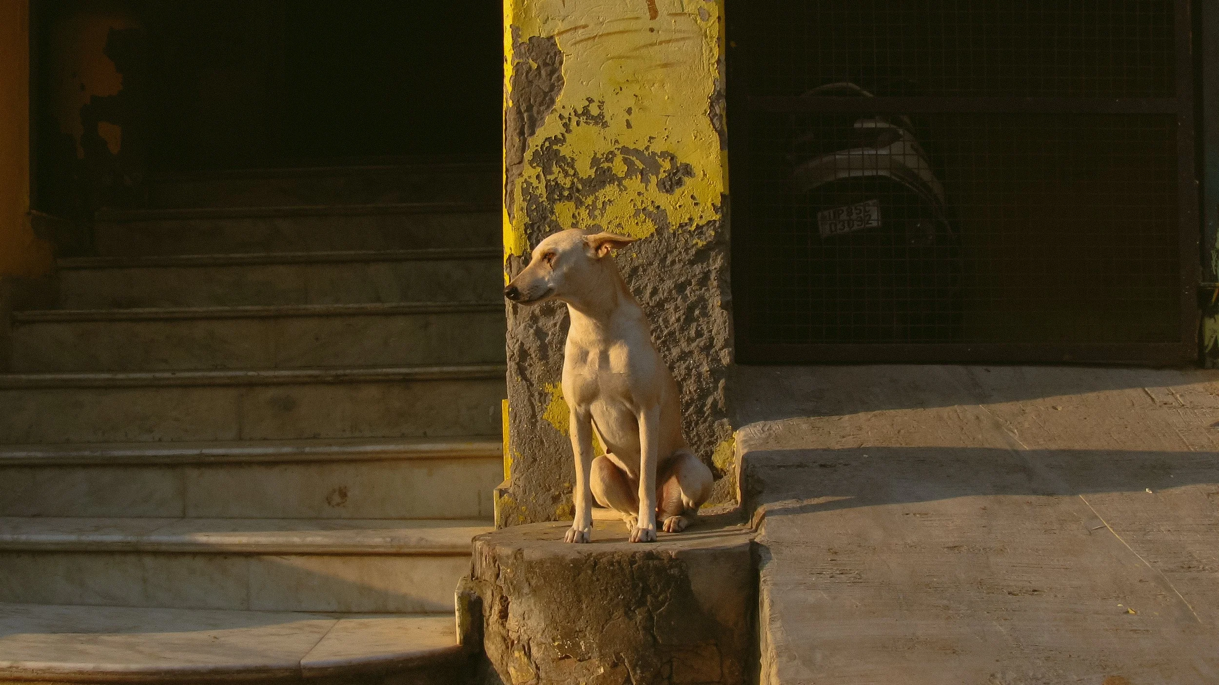 Canon Powershot_4093.jpg