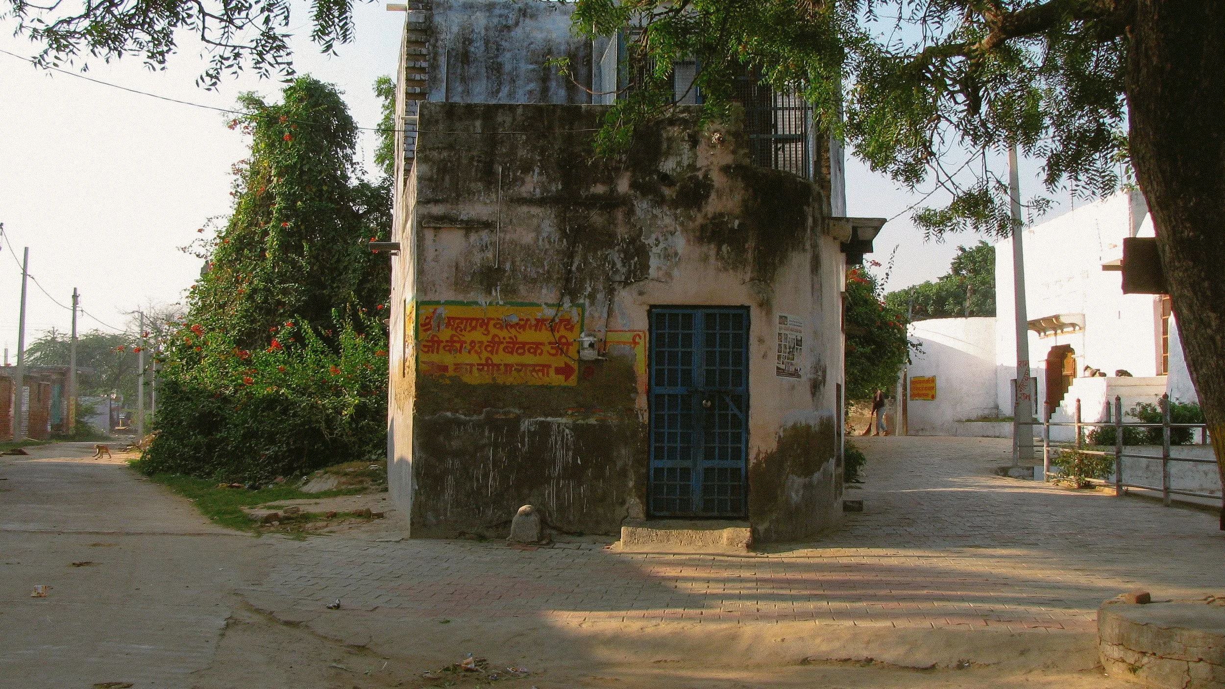 Canon Powershot_4143.jpg