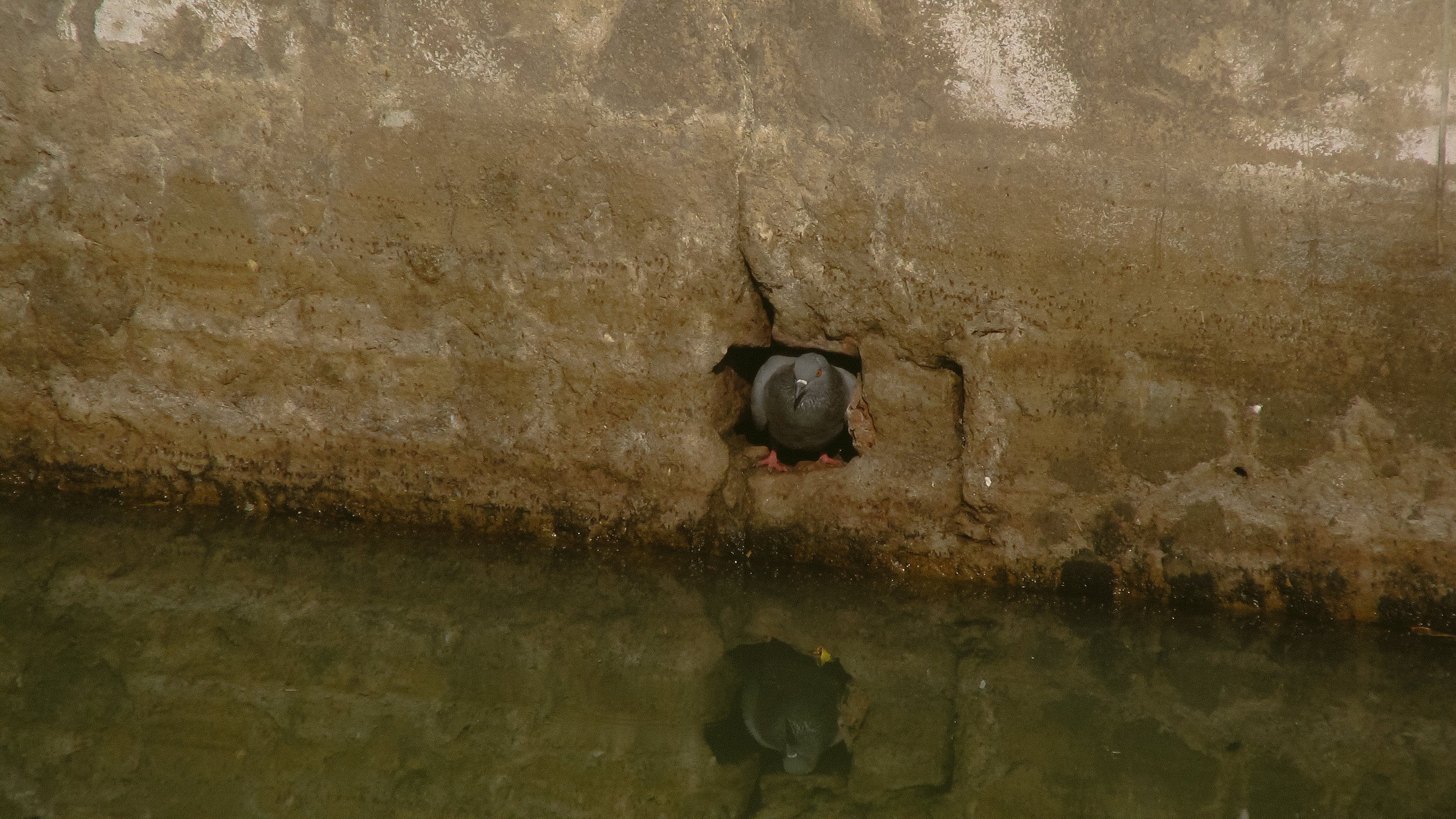 Canon Powershot_4172.jpg